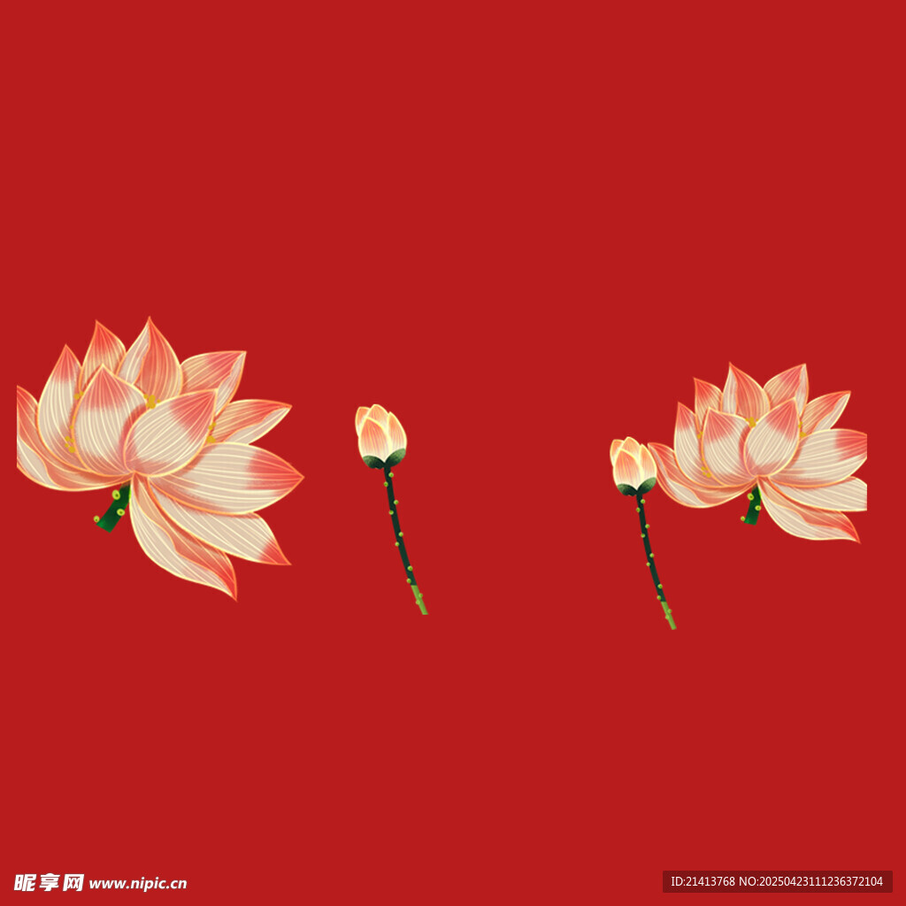 红底双生莲花插画