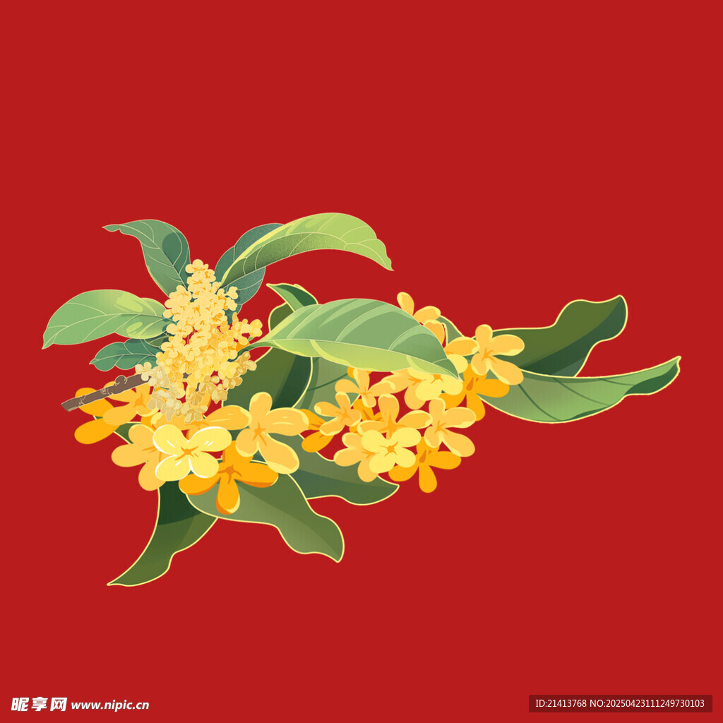 金黄桂花枝