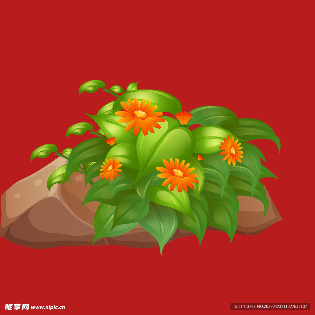 岩石旁的艳丽花卉植物