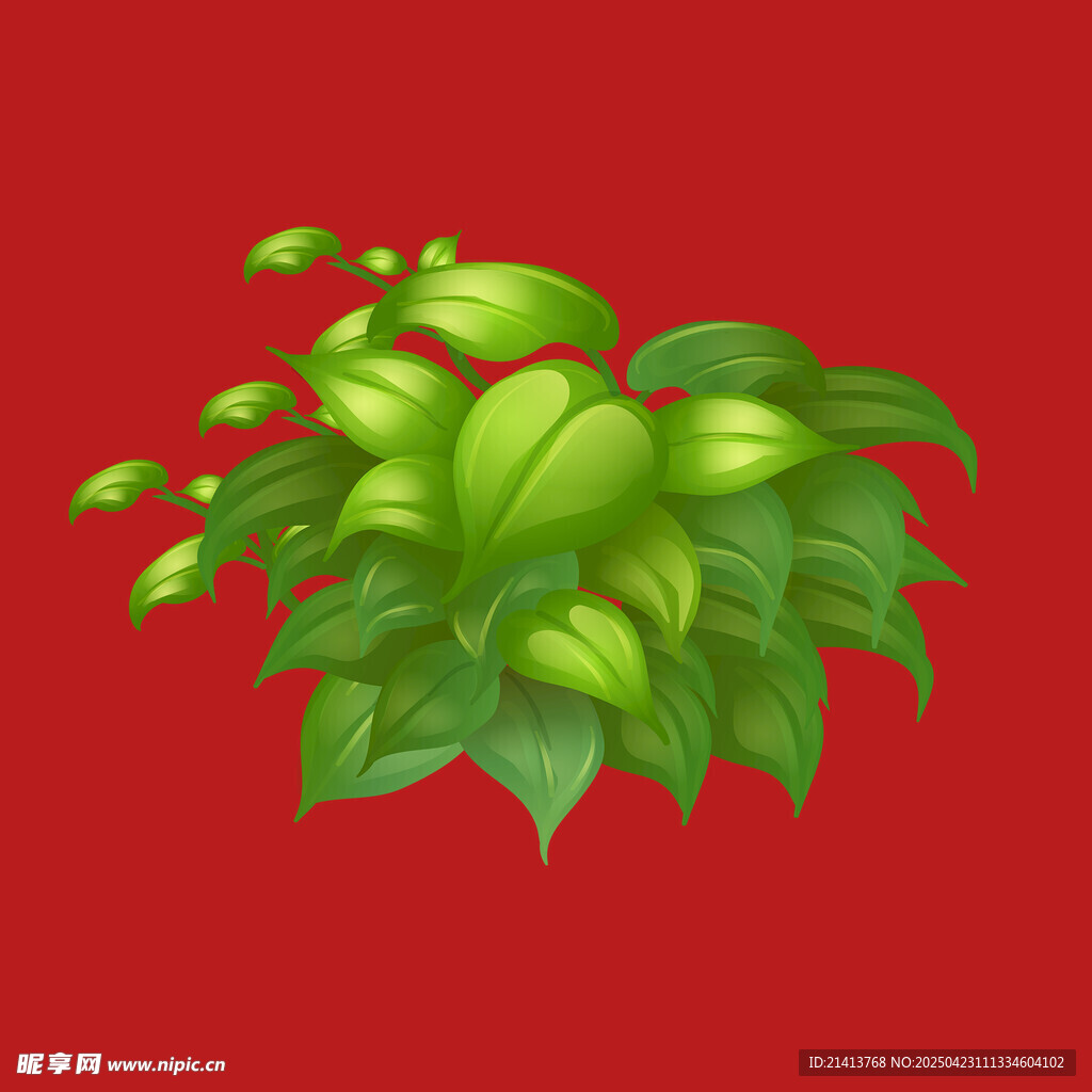绿叶丛生的植物插画