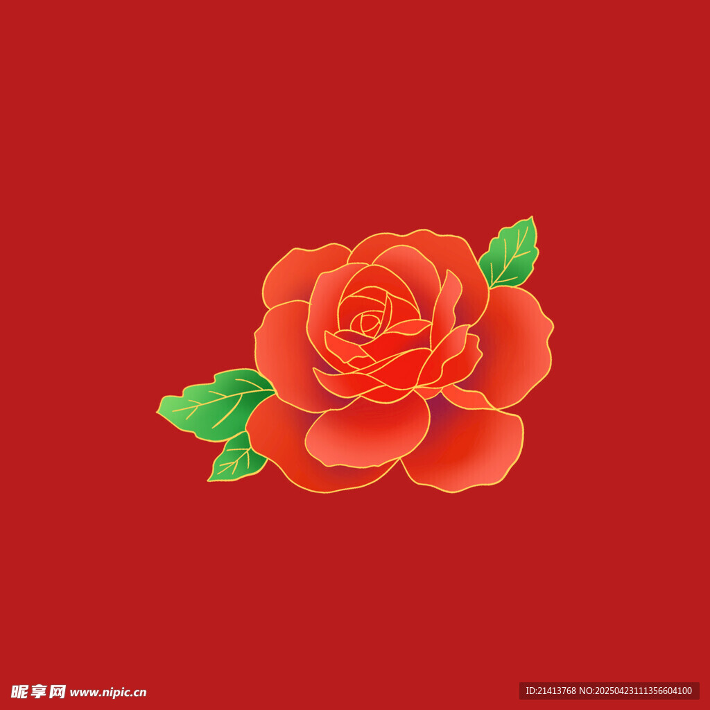 艳丽玫瑰花