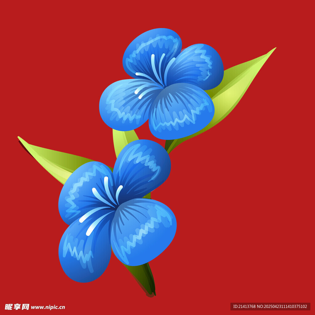 两朵蓝色小花绽放于红底