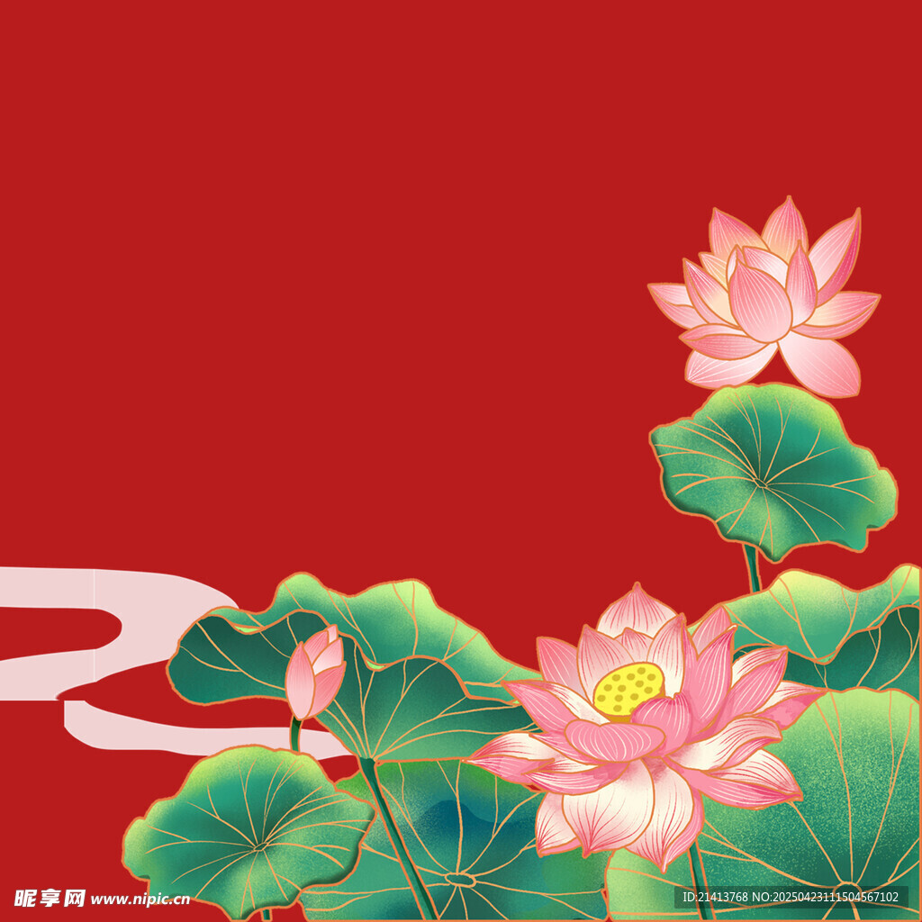荷花