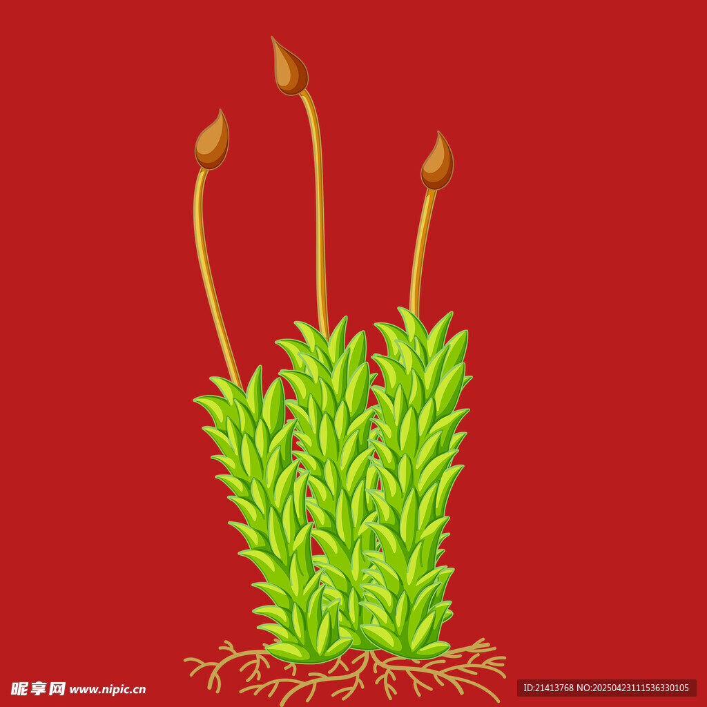 绿色植物插画