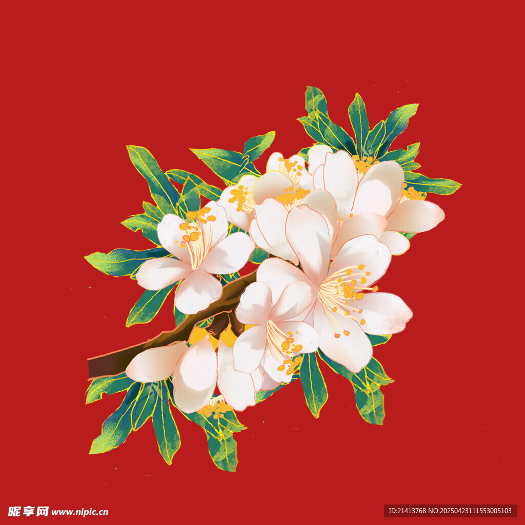 红色背景上的白色花卉图案