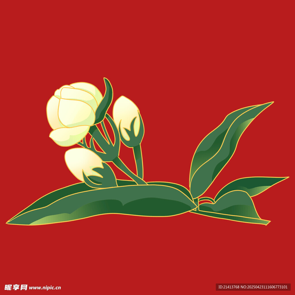 棉花