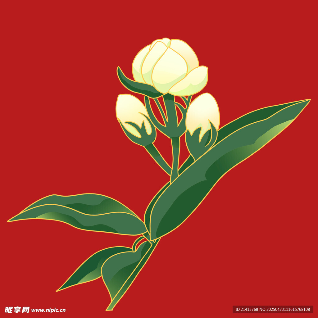 棉花