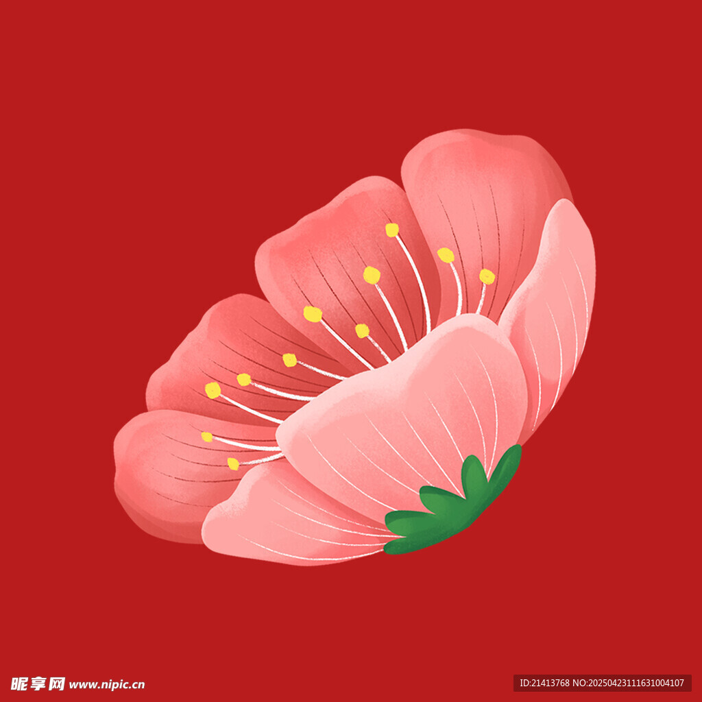 粉色花朵