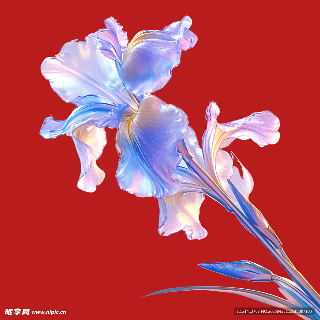 蓝紫色鸢尾花