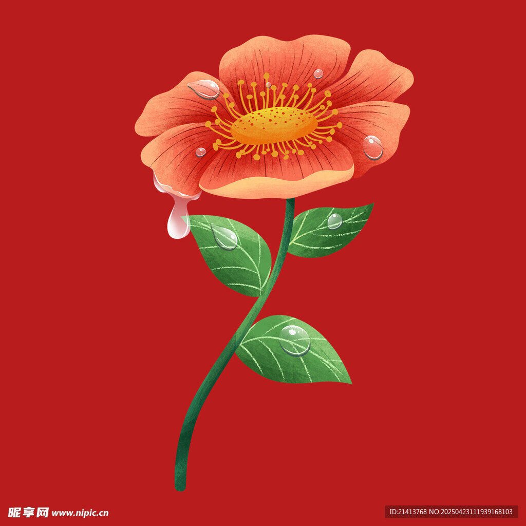 娇艳花朵