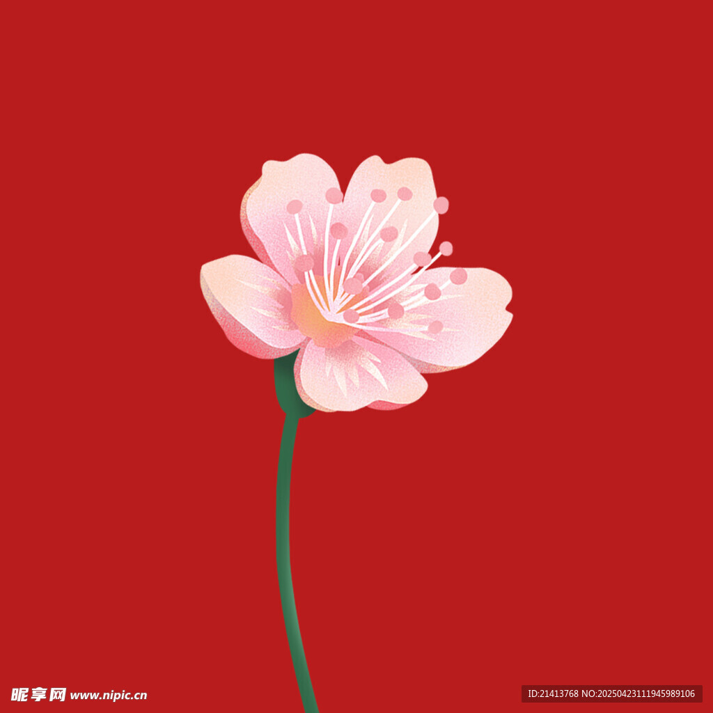 粉色花朵