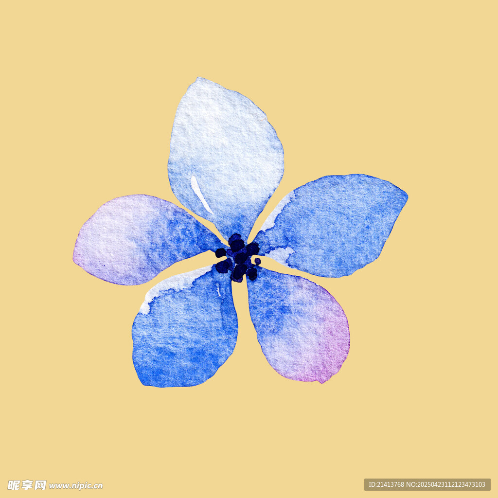 水彩绘蓝色小花