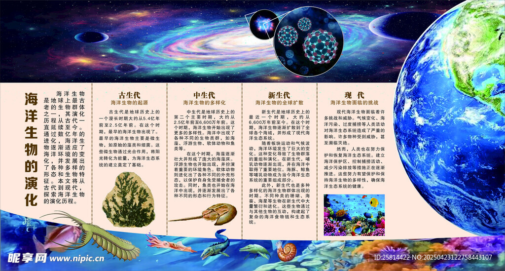 海洋生物的演化 分层