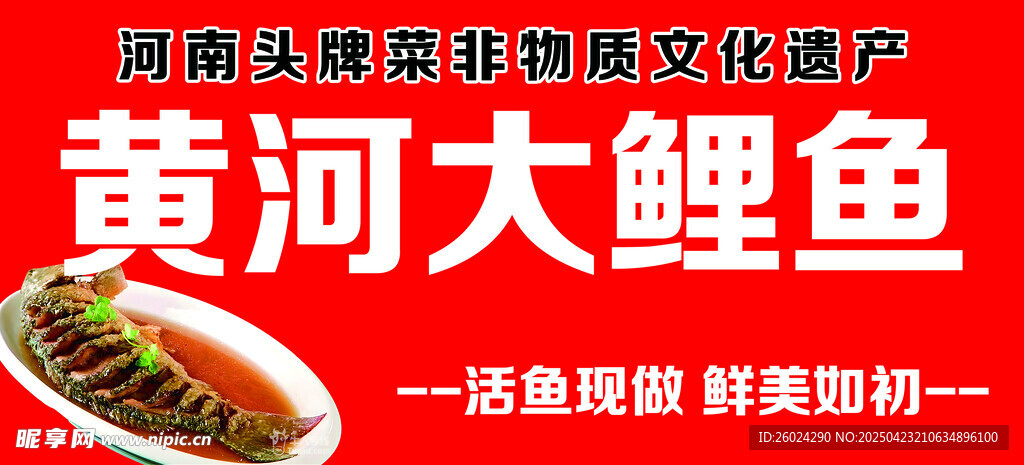 黄河大鲤鱼