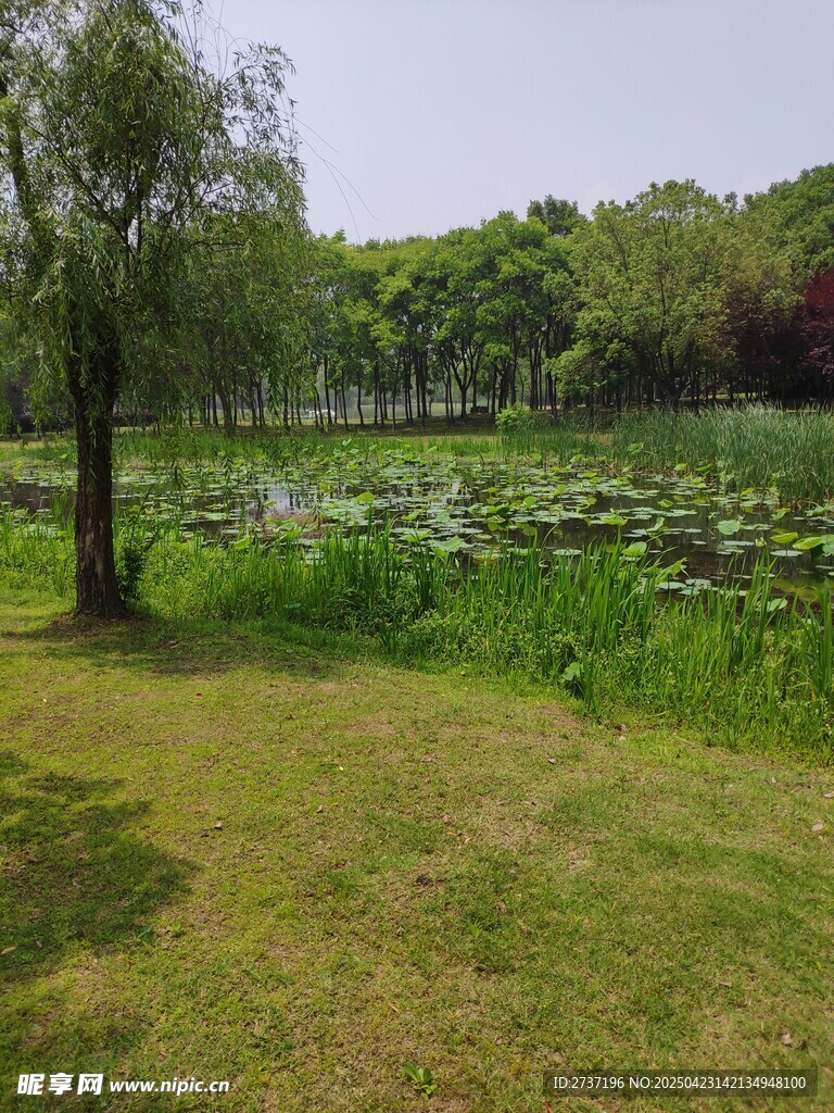 十八湾