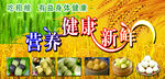 营养健康新鲜食材展示