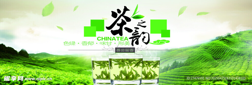 清新茶园风光