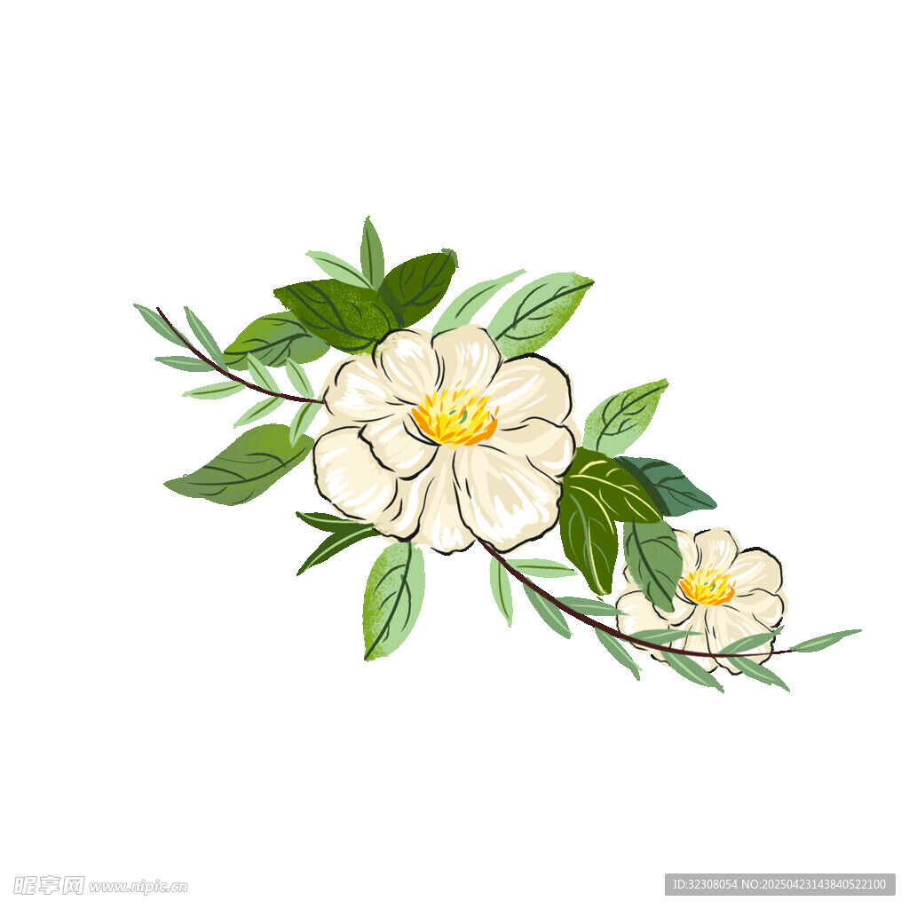 手绘白色花朵与绿叶图案