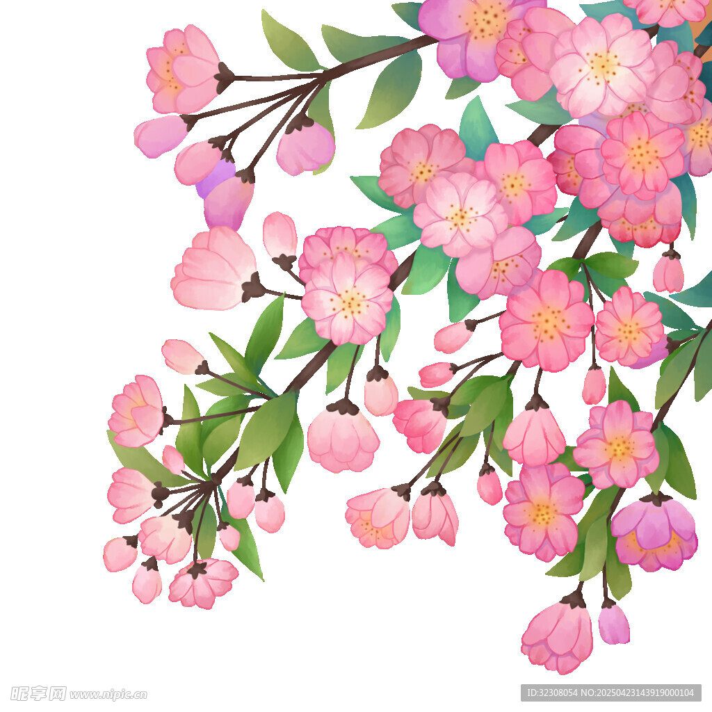 粉色烂漫樱花枝