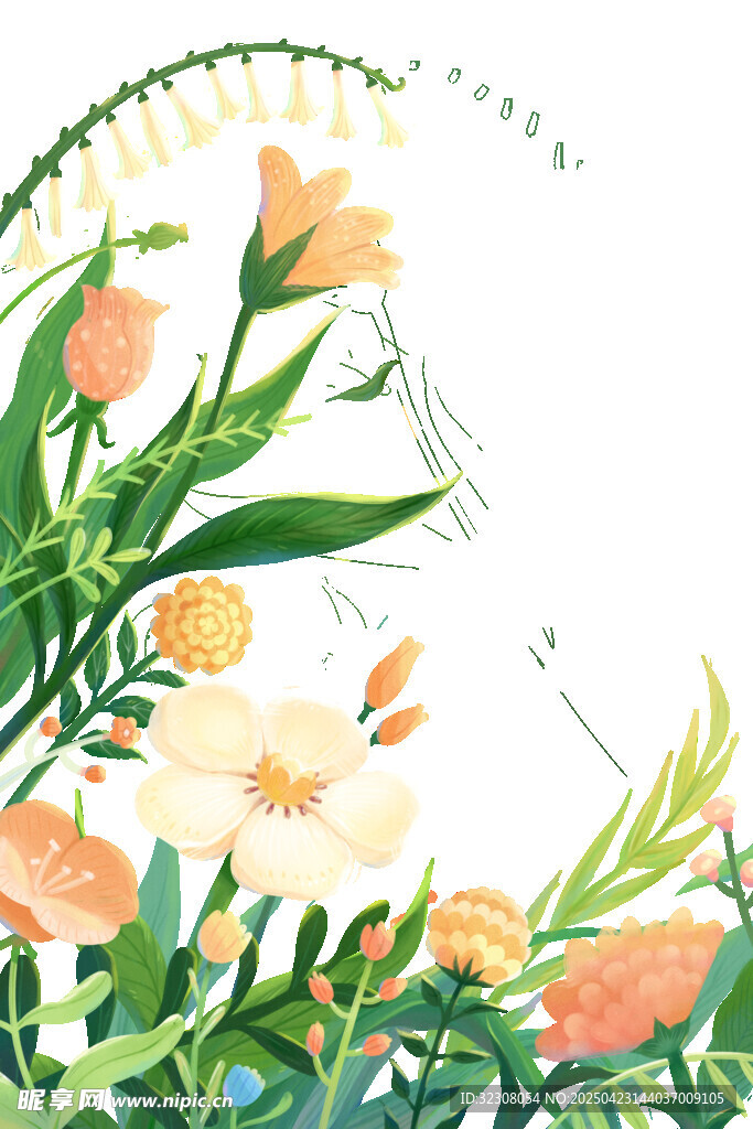 清新花卉插画