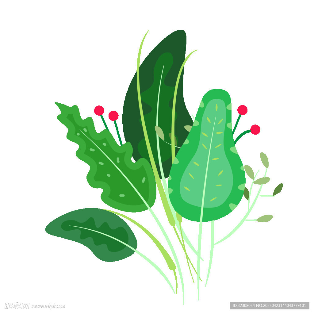 清新绿叶植物插画