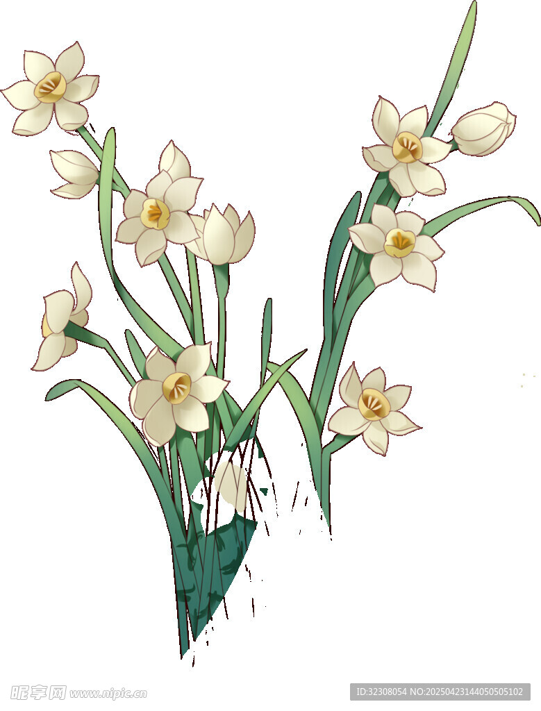 手绘清新水仙花插画