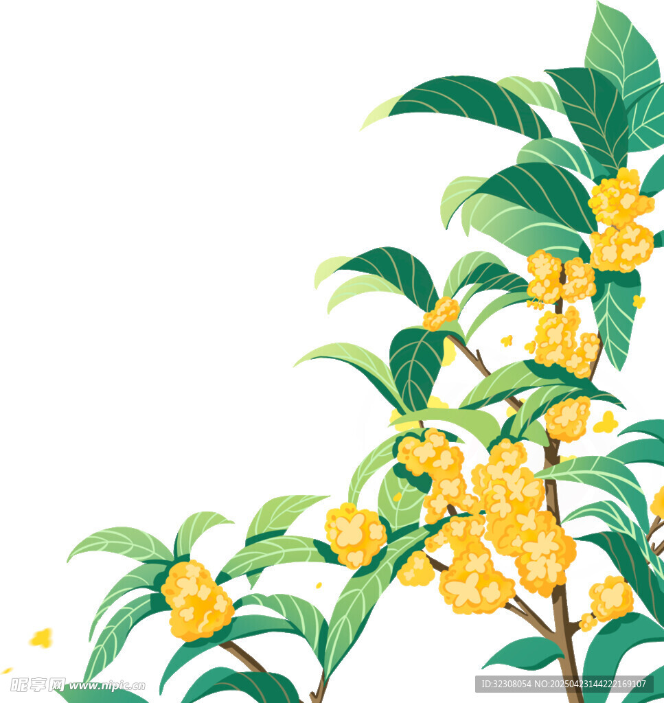 枝头绽放的金黄桂花