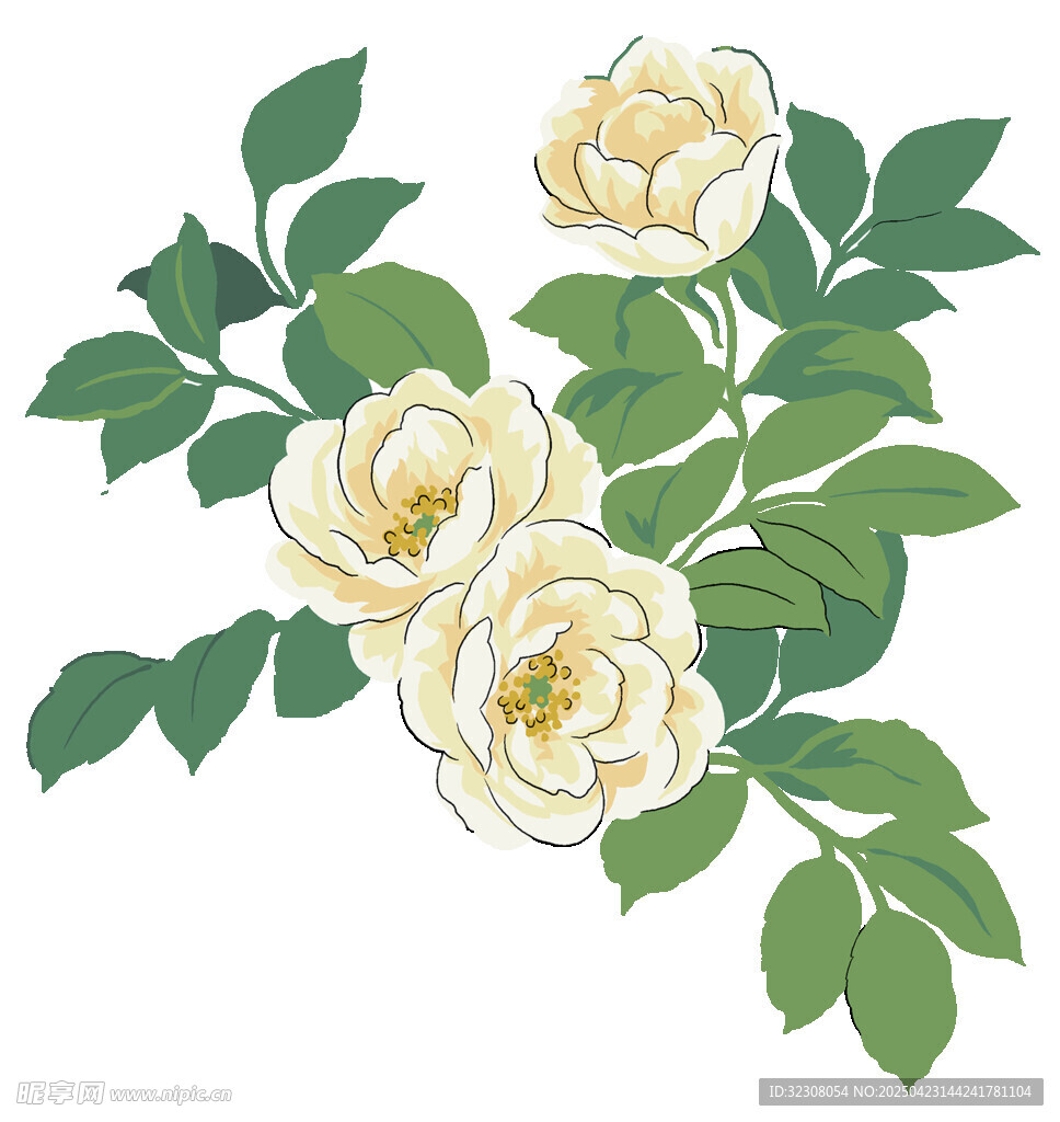 三朵白玫瑰与绿叶插画