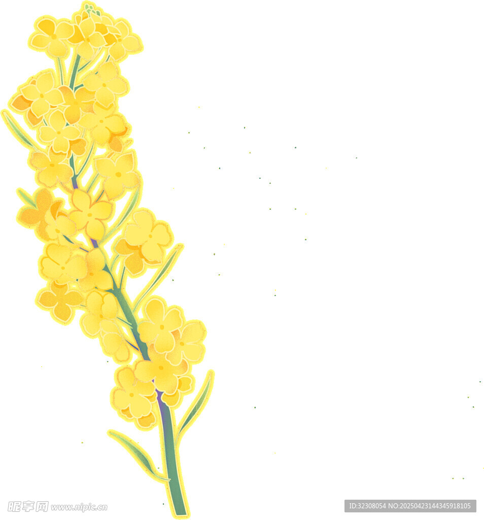 手绘黄色花枝插画