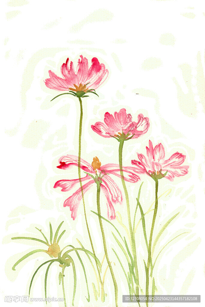 手绘粉色花卉清新插画