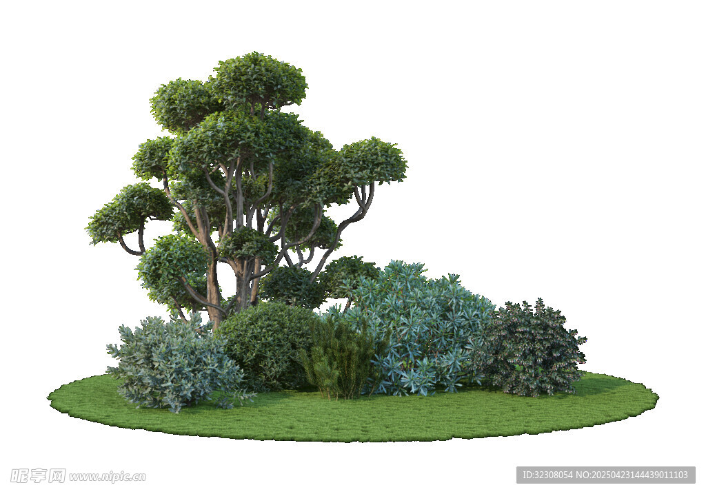 小型绿植景观组合