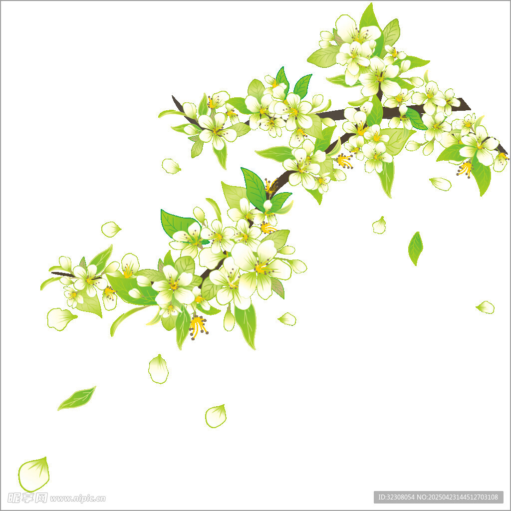 春日繁花枝头绽放