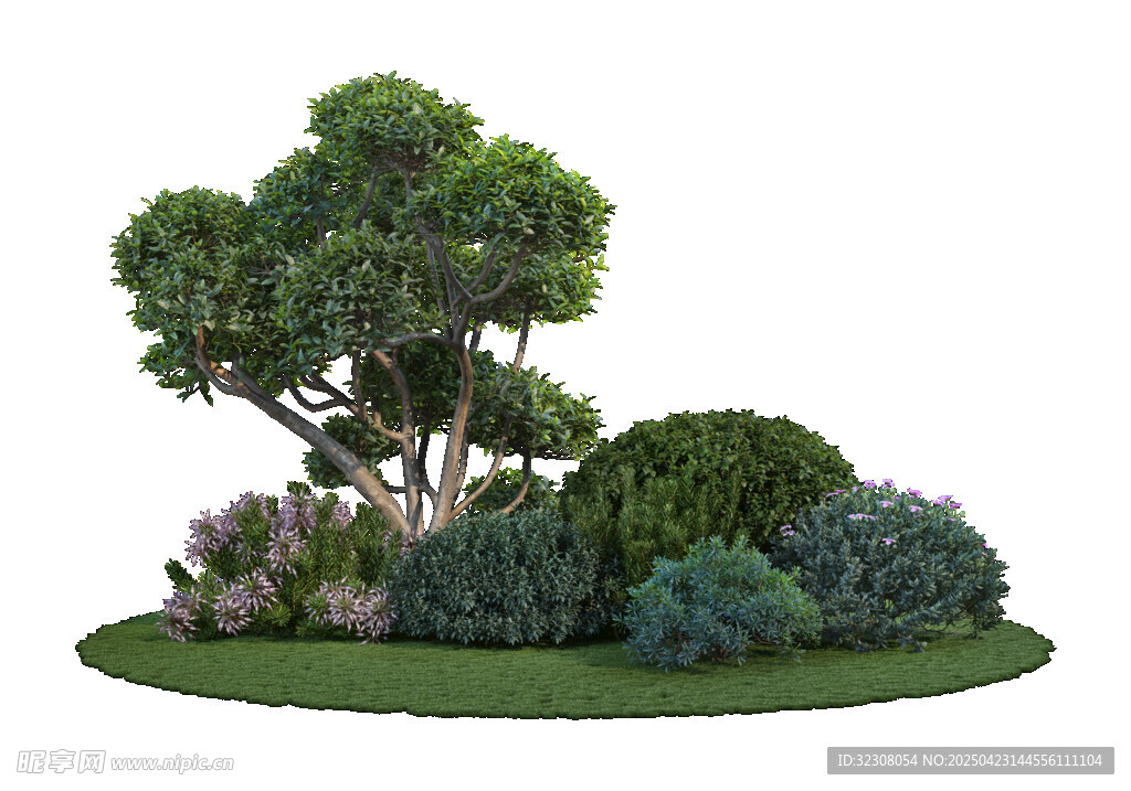小型绿植景观组合