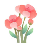 粉色花卉插画