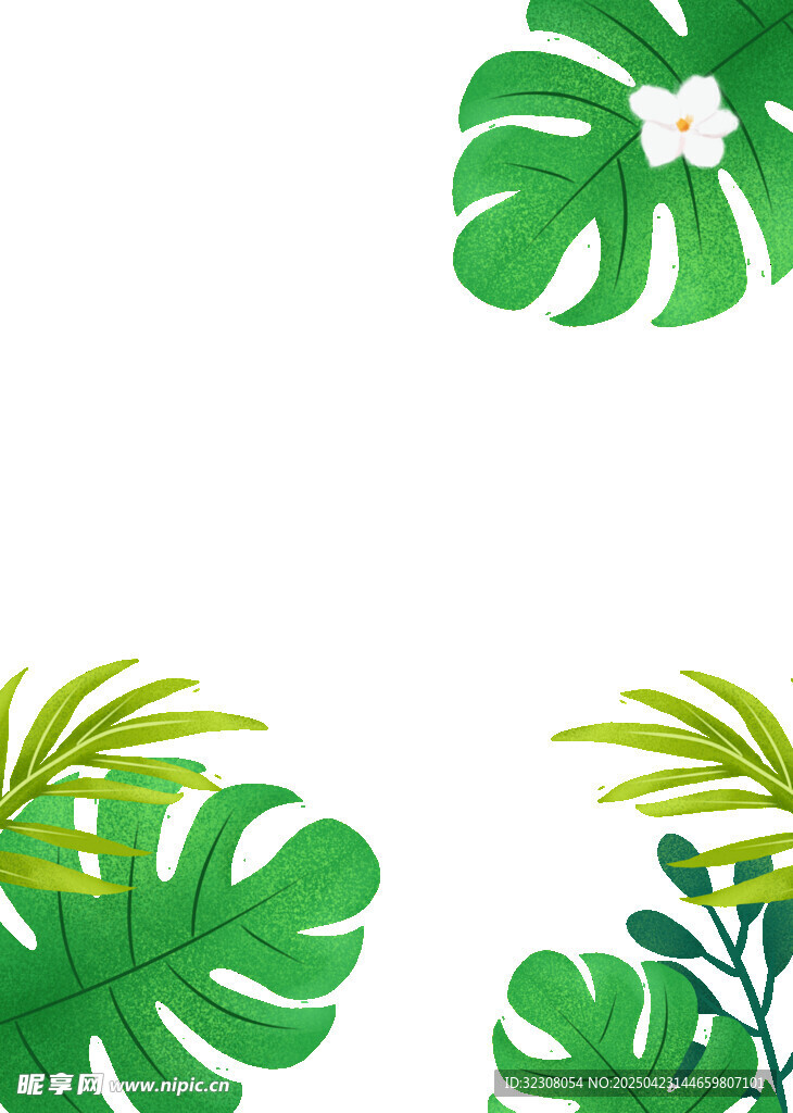 热带植物叶片插画