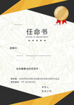 任命书模板展示