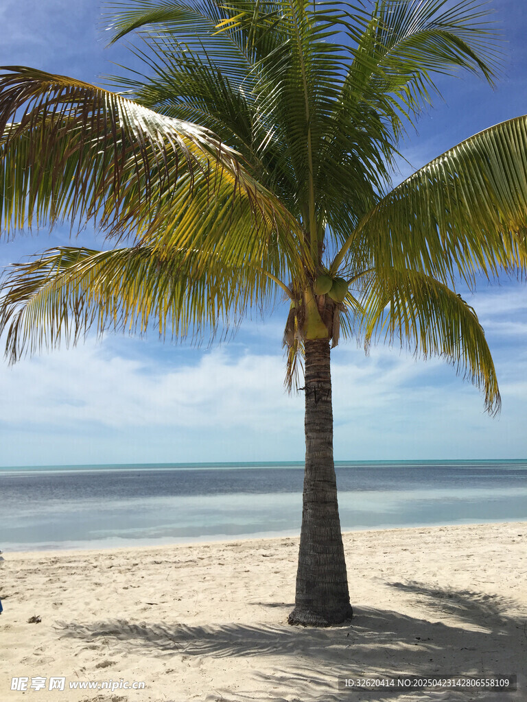 海滩 沙滩