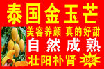金玉芒