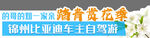 51踏青赏花车贴春季 比亚迪