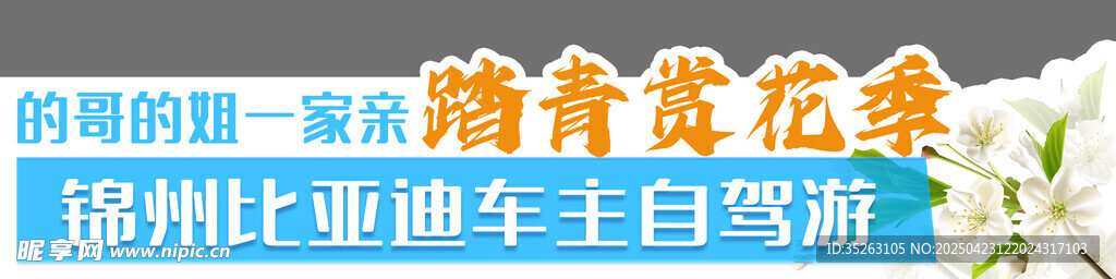 51踏青赏花车贴春季 比亚迪
