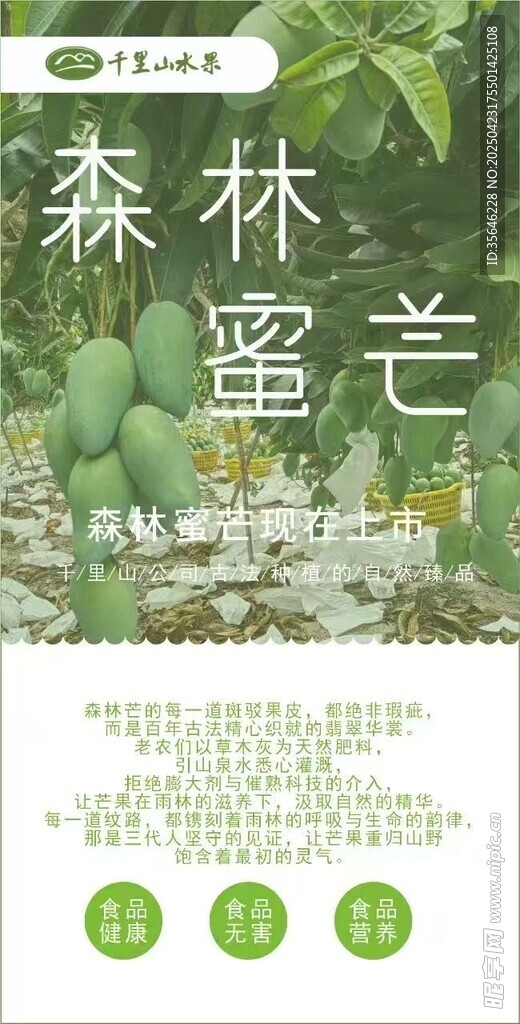 森林蜜芒宣传页展示