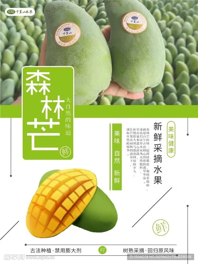 森林芒芒果创意宣传图