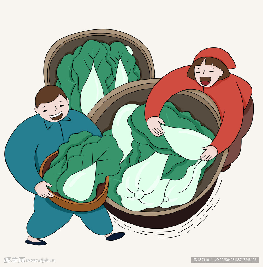 东北酸菜 大白菜