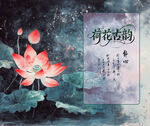 水果荷花