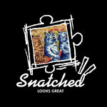 风格Snatched标志设计