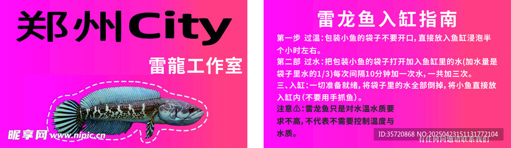 雷龙鱼活动宣传海报售后卡