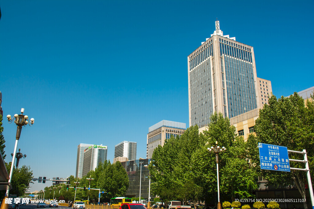 城市街景中的高楼与绿树