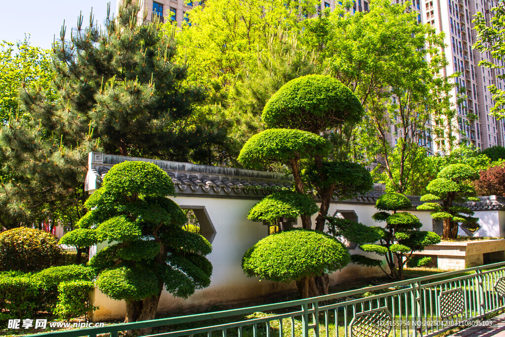 精致园林景观盆景艺术