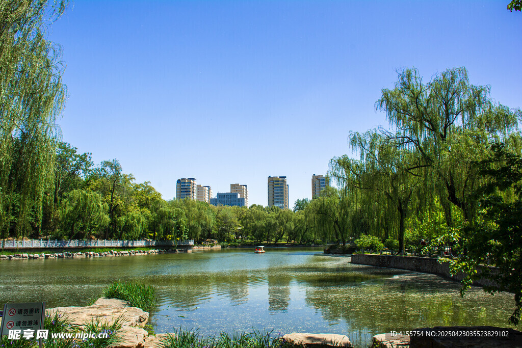 湖畔绿树环绕的城市美景