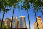 城市绿树与高楼景观